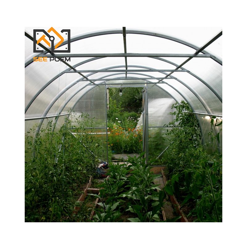 Modern Wholesale Bulk Backyard Greenhouse Vegetable Garden Flower Poly Tunnel Commercial Walk in Greenhouse