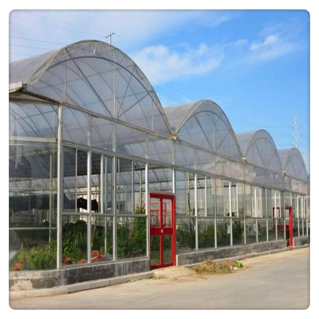With Low Cost for Plant & Agriculture Featuring Steel PVC PE Film & Plastic Materials Large Single-Layer Glass Greenhouse