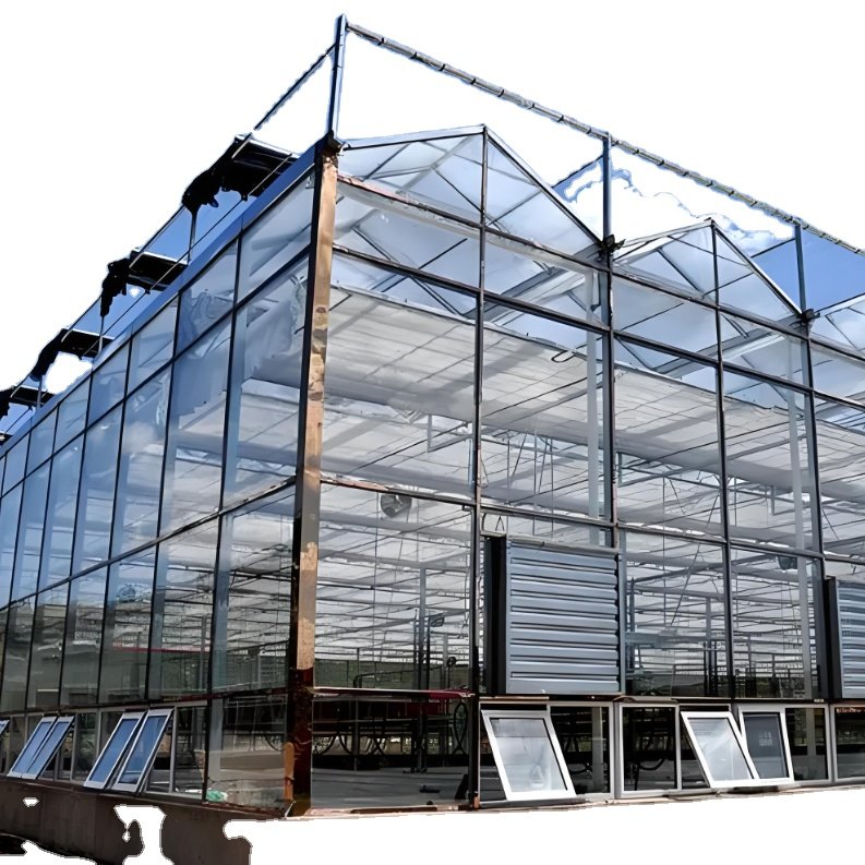 With Low Cost for Plant & Agriculture Featuring Steel PVC PE Film & Plastic Materials Large Single-Layer Glass Greenhouse