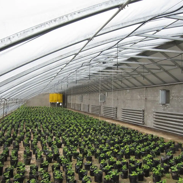 Snow Resistant Agricultural Farming Equipment Blackout Mushroom Growing Polycarbonate Sheet Tunnel Light Deprivation Greenhouse
