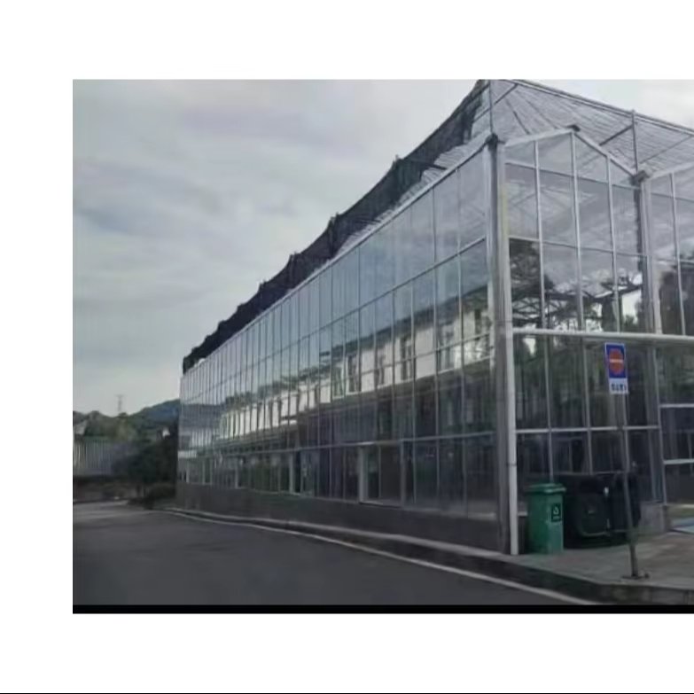 Multi-functional multi-span Venlo glass greenhouse flower intelligent glass sun panel greenhouse greenhouse