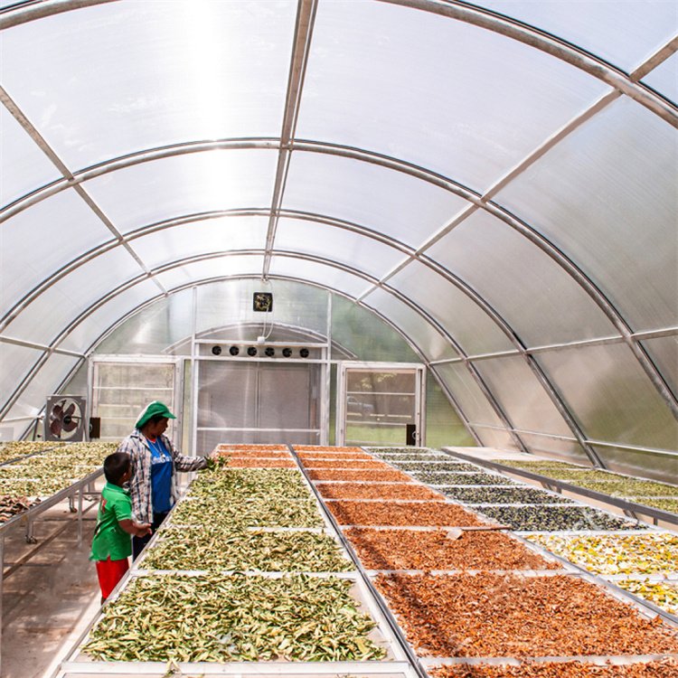 Baolida Drying Greenhouse dryer design energy saving chilli dryer sun solar dryer green house
