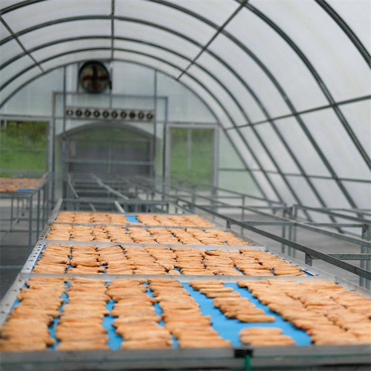Baolida Drying Greenhouse dryer design energy saving chilli dryer sun solar dryer green house