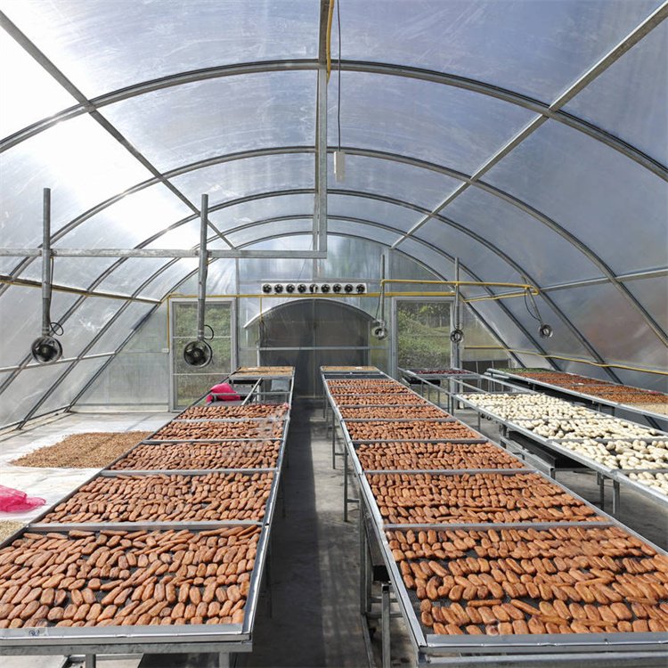 Baolida Drying Greenhouse dryer design energy saving chilli dryer sun solar dryer green house