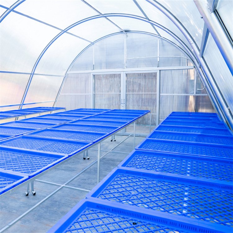 Baolida Drying Greenhouse dryer design energy saving chilli dryer sun solar dryer green house