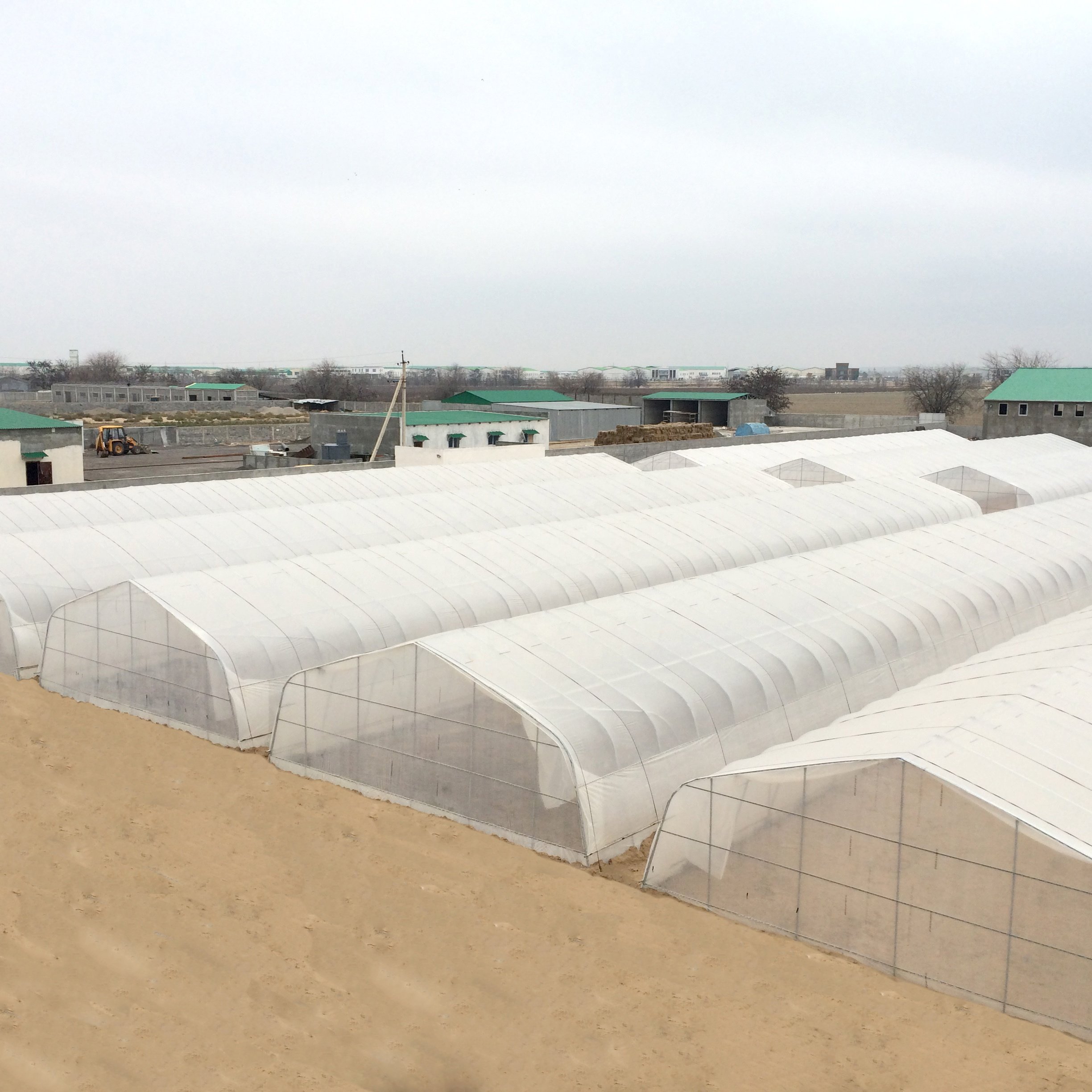 Quictent Upgraded Large Walk-in Greenhouse, Multipurpose Garden Plant Greenhouses for Outdoors with Enhanced Galvanized Frame