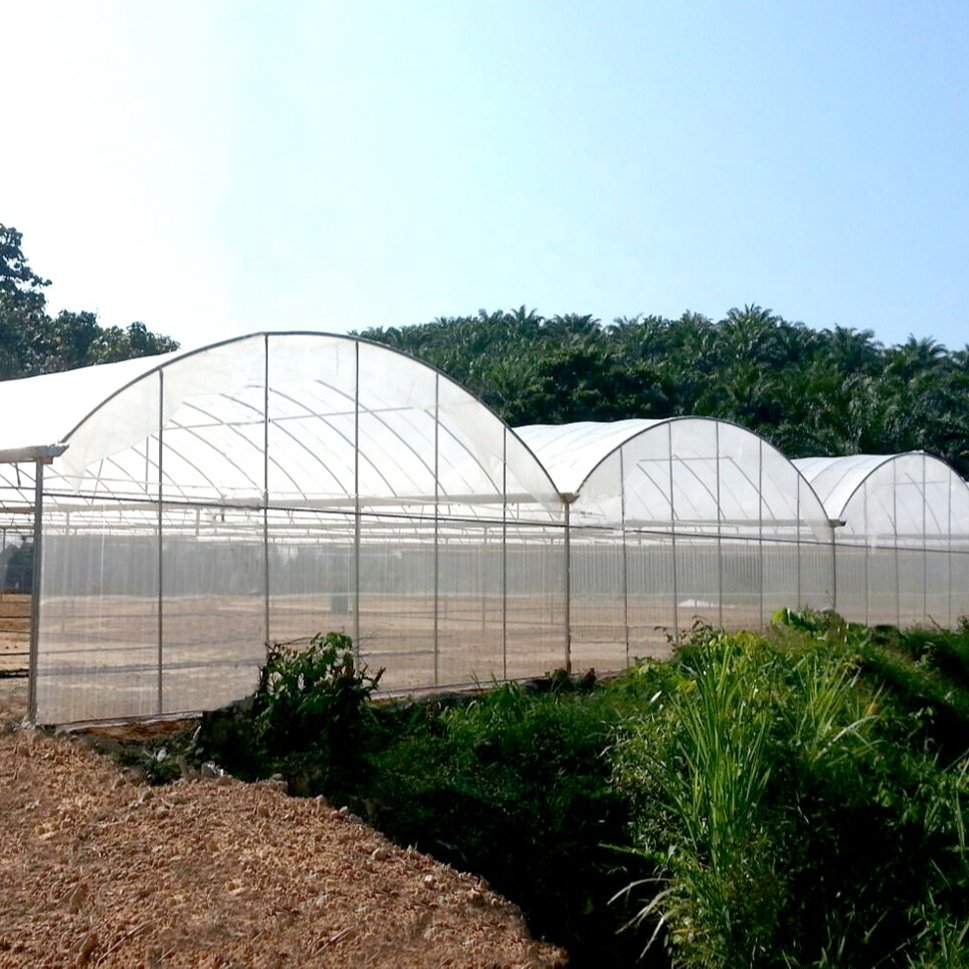 Quictent Upgraded Large Walk-in Greenhouse, Multipurpose Garden Plant Greenhouses for Outdoors with Enhanced Galvanized Frame