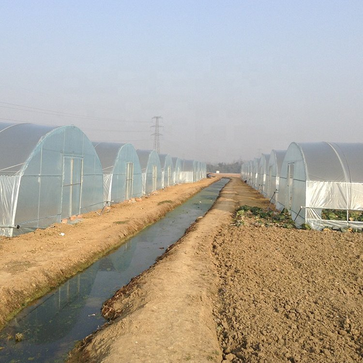 Quictent Upgraded Large Walk-in Greenhouse, Multipurpose Garden Plant Greenhouses for Outdoors with Enhanced Galvanized Frame
