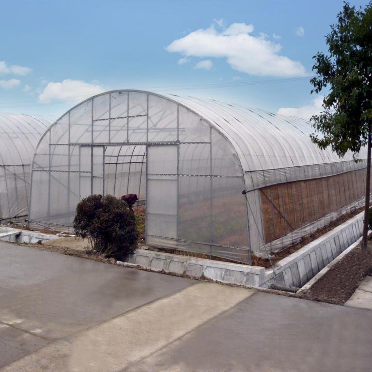China professional low cost high tunnel agricultural greenhouse