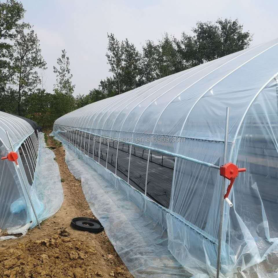 China professional low cost high tunnel agricultural greenhouse