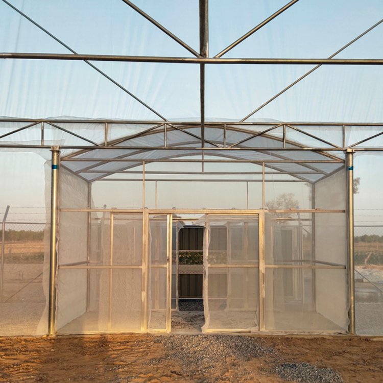 MYXL Commercial UV Plastic Low Cost Single-Span Agricultural Greenhouses Plastic Film