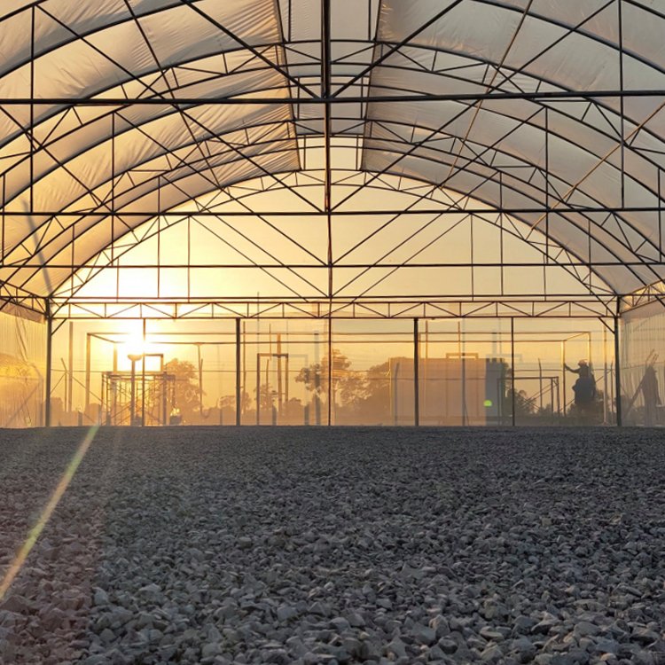 MYXL Commercial UV Plastic Low Cost Single-Span Agricultural Greenhouses Plastic Film