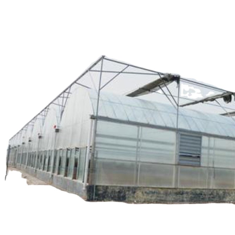 Shandong Jin Xin Agricultural Greenhouse from china greenhouse factory