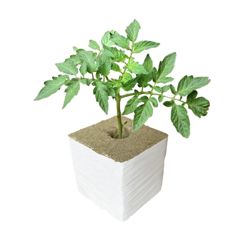 Agricultural Greenhouses 150x150x150mm Stone Wool Growing Block Rock Wool Hydroponic Cubes