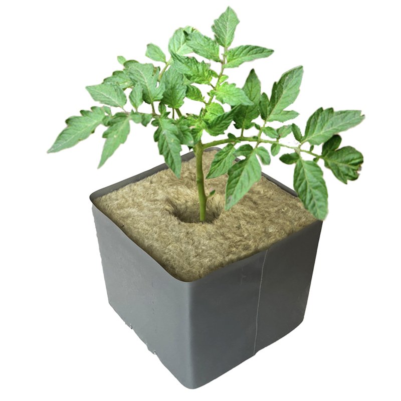 Agricultural Greenhouses 150x150x150mm Stone Wool Growing Block Rock Wool Hydroponic Cubes