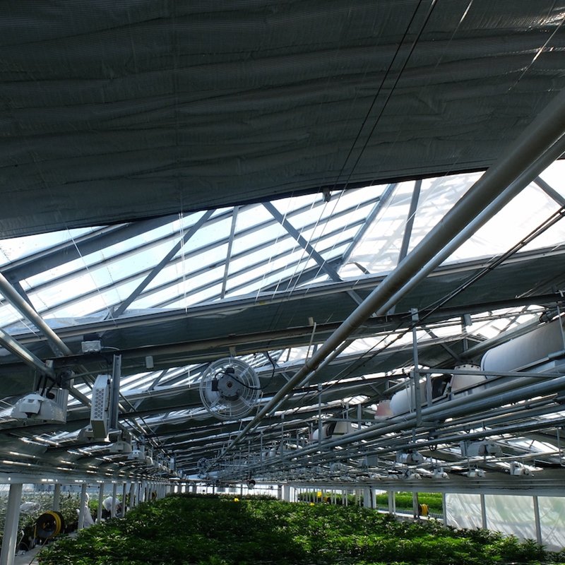 single span green house light deprivation greenhouse used vegetable growing for sale
