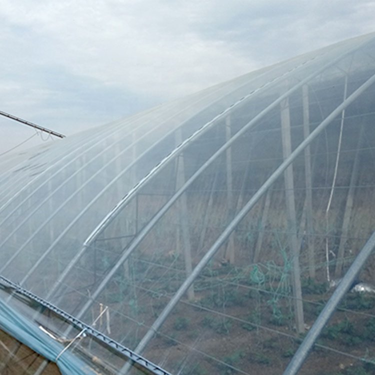 Free Sample Greenhouse Roofing Material / PE Greenhouse Film Cover / UV Treated Plastic Film for Greenhouse