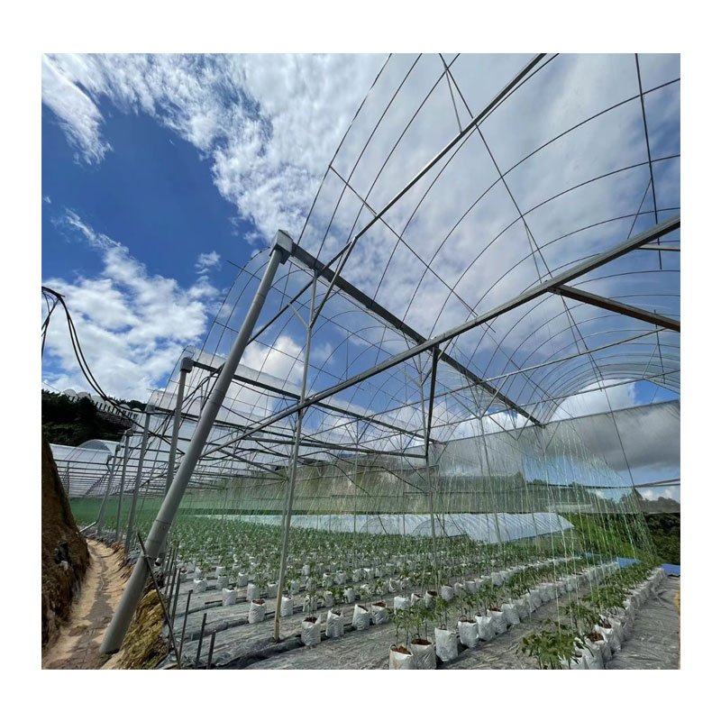 Free Sample Greenhouse Roofing Material / PE Greenhouse Film Cover / UV Treated Plastic Film for Greenhouse
