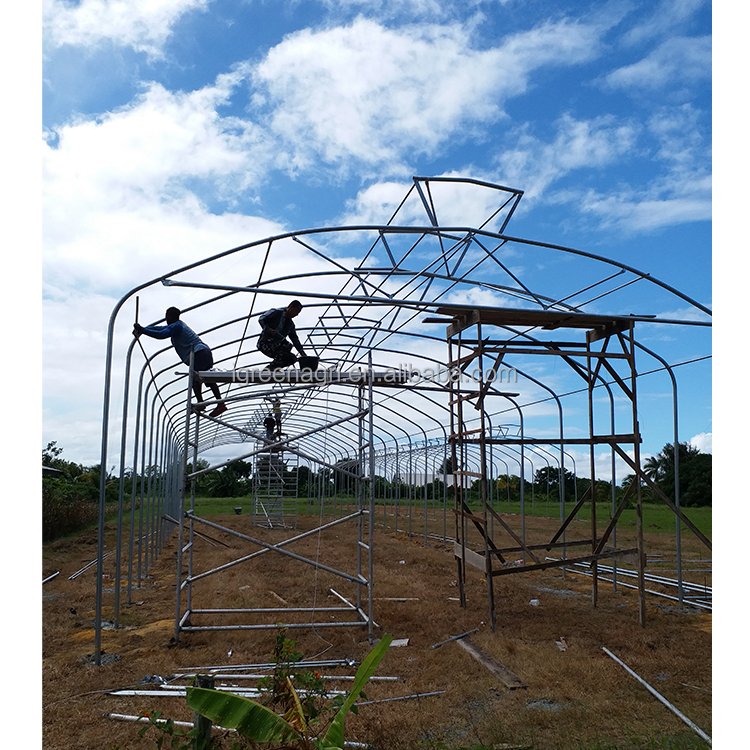 IGreen tropical agricultural greenhouse price all season tropical greenhouse