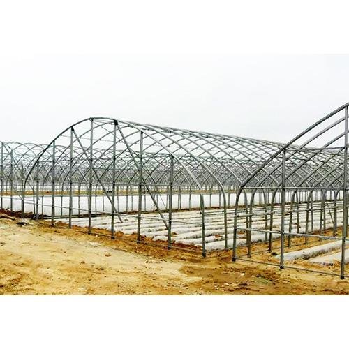 Economic tunnel Good Quality Low Cost Hot Sale Polytunnel Berry Greenhouse