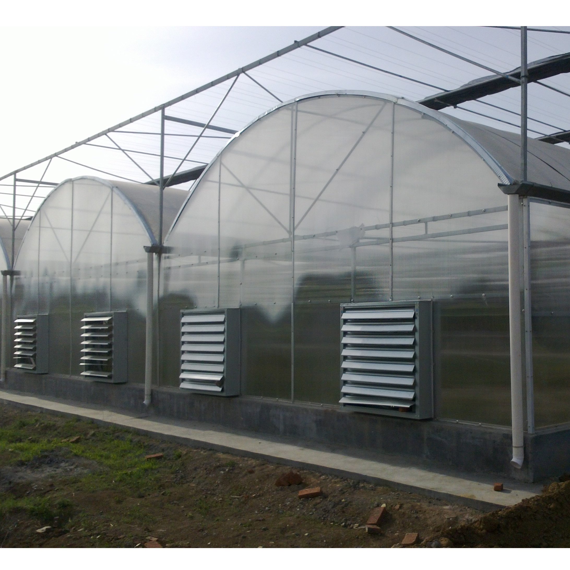 Economic tunnel Good Quality Low Cost Hot Sale Polytunnel Berry Greenhouse