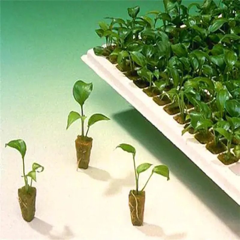 Agriculture use rock wool cube for lettuce Agricultural Greenhouse Rock Mineral Wool Hydroponic Wool Rock