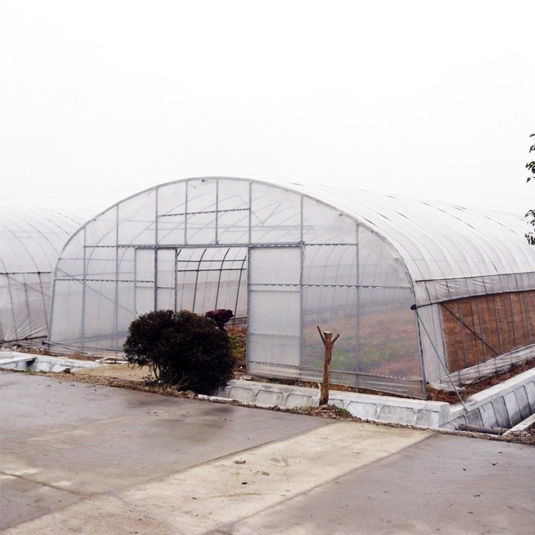 backyard green house polycarbonate plastic film small tunnel hoops serre agricole strawberry greenhouse kits