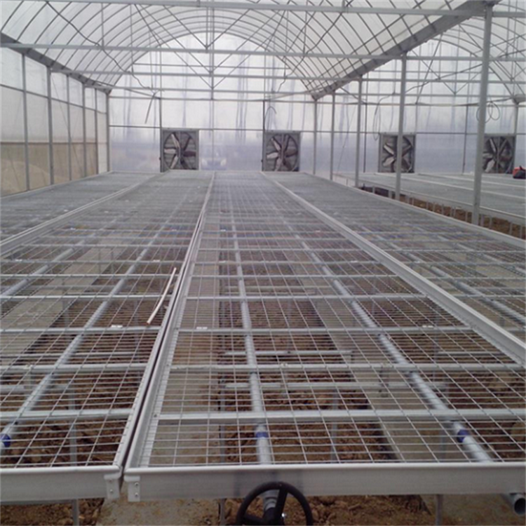 Baolida Cultivation flower nursery seedbed greenhouse hydroponic rolling wire mesh bench