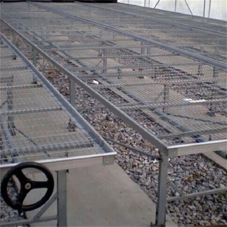 Baolida Cultivation flower nursery seedbed greenhouse hydroponic rolling wire mesh bench