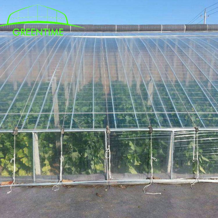 uv resistant 200 micron agricultural greenhouse uv plastic covering film for vegetables