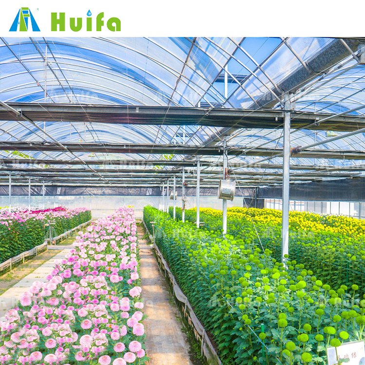 Profile Plastic Tunnel Farm House Arches Greenhouse Aluminum Film Large Hot Galvanized Steel Pipes Top and Side Ventination