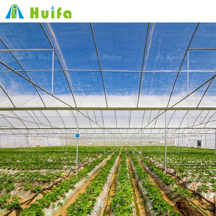 Profile Plastic Tunnel Farm House Arches Greenhouse Aluminum Film Large Hot Galvanized Steel Pipes Top and Side Ventination