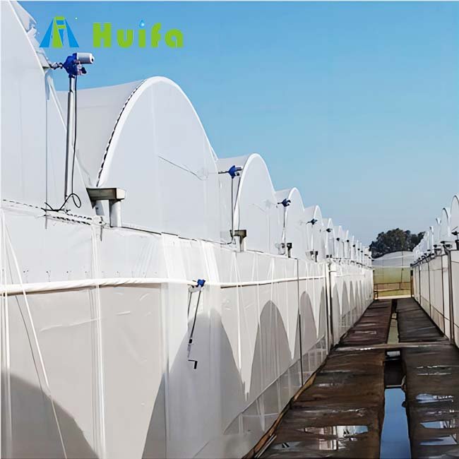 Profile Plastic Tunnel Farm House Arches Greenhouse Aluminum Film Large Hot Galvanized Steel Pipes Top and Side Ventination