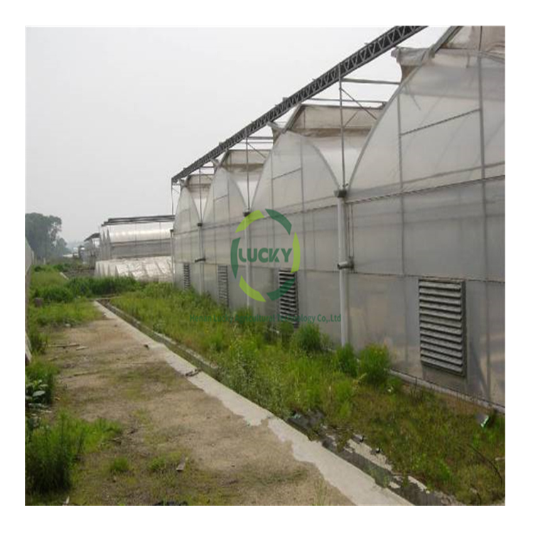 Prefab Poly Carbonate Film And PC Board Good Quality Hoop Low Cost Hot Sale Polytunnel Poly Tunnel Greenhouse