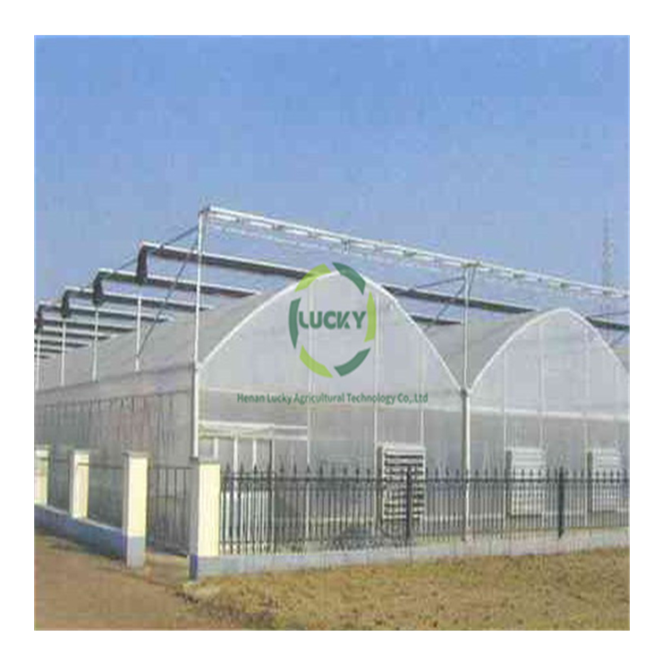 Prefab Poly Carbonate Film And PC Board Good Quality Hoop Low Cost Hot Sale Polytunnel Poly Tunnel Greenhouse