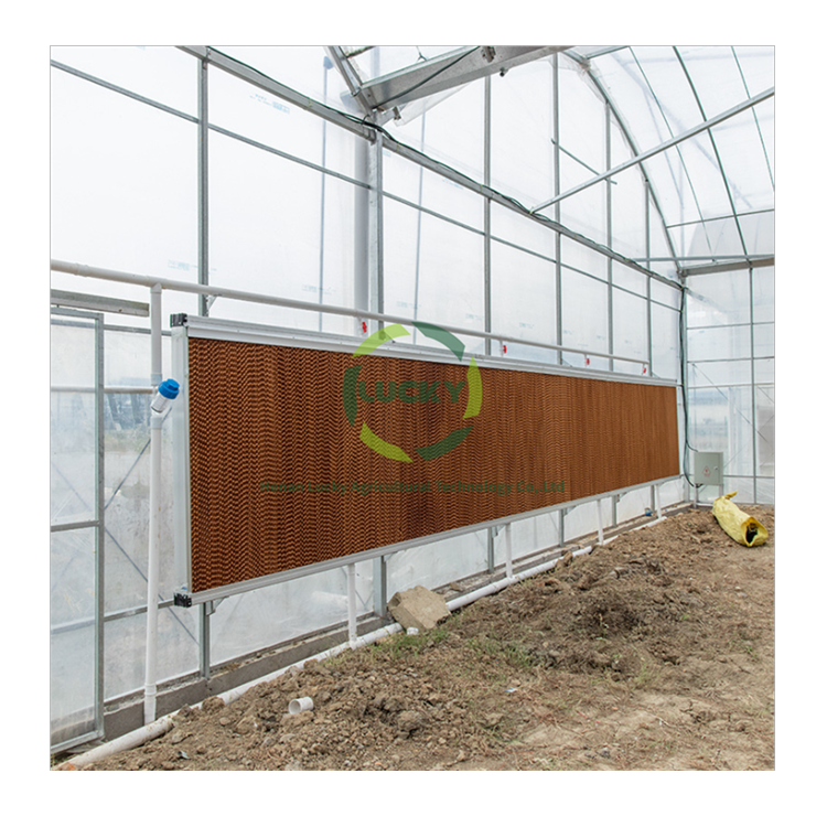 Prefab Poly Carbonate Film And PC Board Good Quality Hoop Low Cost Hot Sale Polytunnel Poly Tunnel Greenhouse