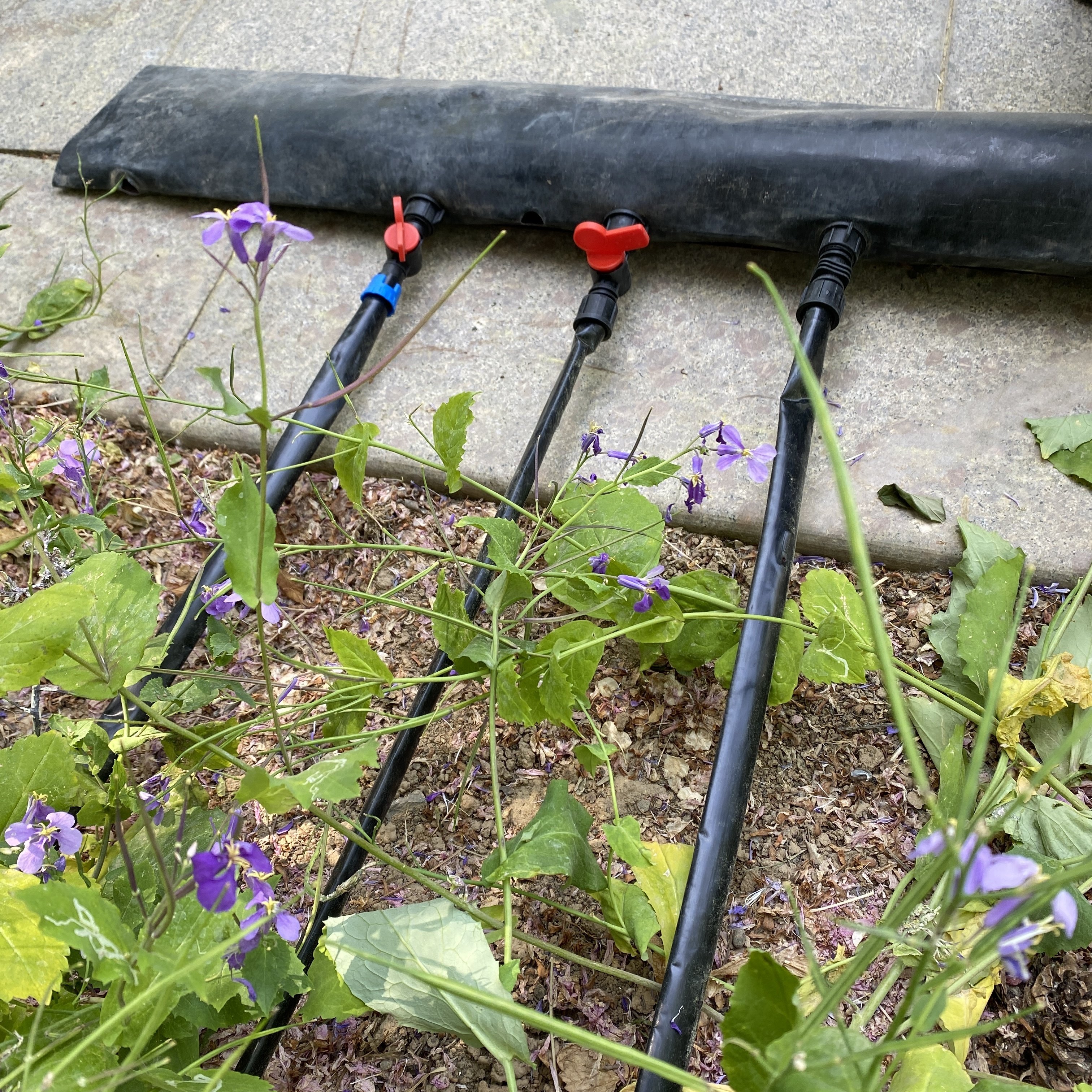 Free Design 16mm 1 Hectare drip irrigation system flat tape drip irrigation system agriculture farm