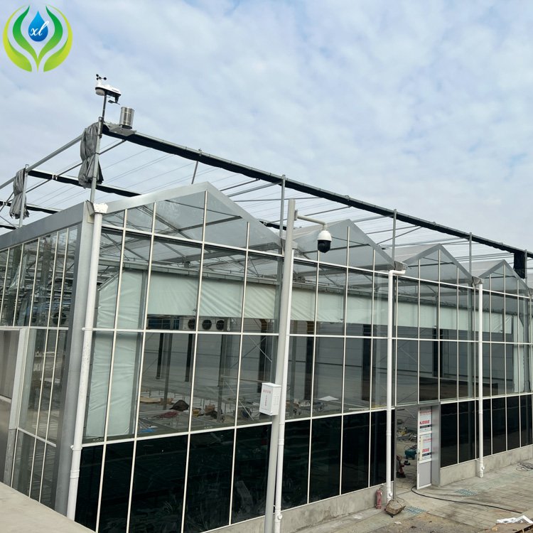 MYXL Side Roof Ventilation System Circulation Exhaust fan Passive Solar Glass Greenhouse For Hydroponic Growing System