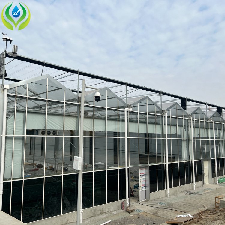 MYXL Side Roof Ventilation System Circulation Exhaust fan Passive Solar Glass Greenhouse For Hydroponic Growing System