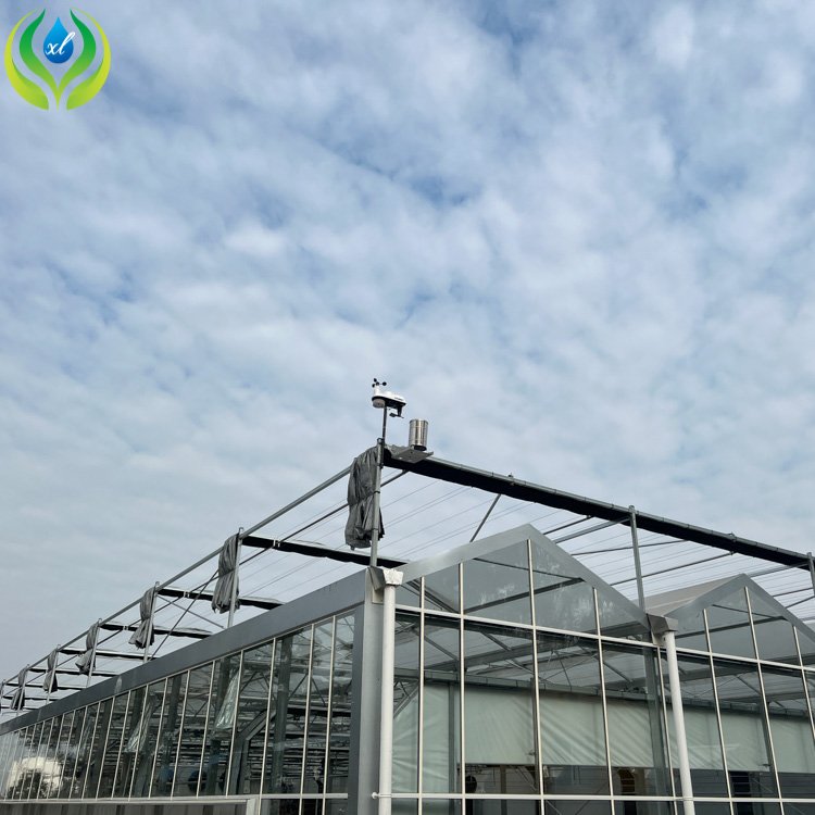 MYXL Side Roof Ventilation System Circulation Exhaust fan Passive Solar Glass Greenhouse For Hydroponic Growing System