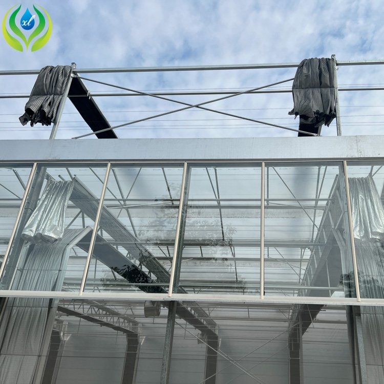 MYXL Side Roof Ventilation System Circulation Exhaust fan Passive Solar Glass Greenhouse For Hydroponic Growing System
