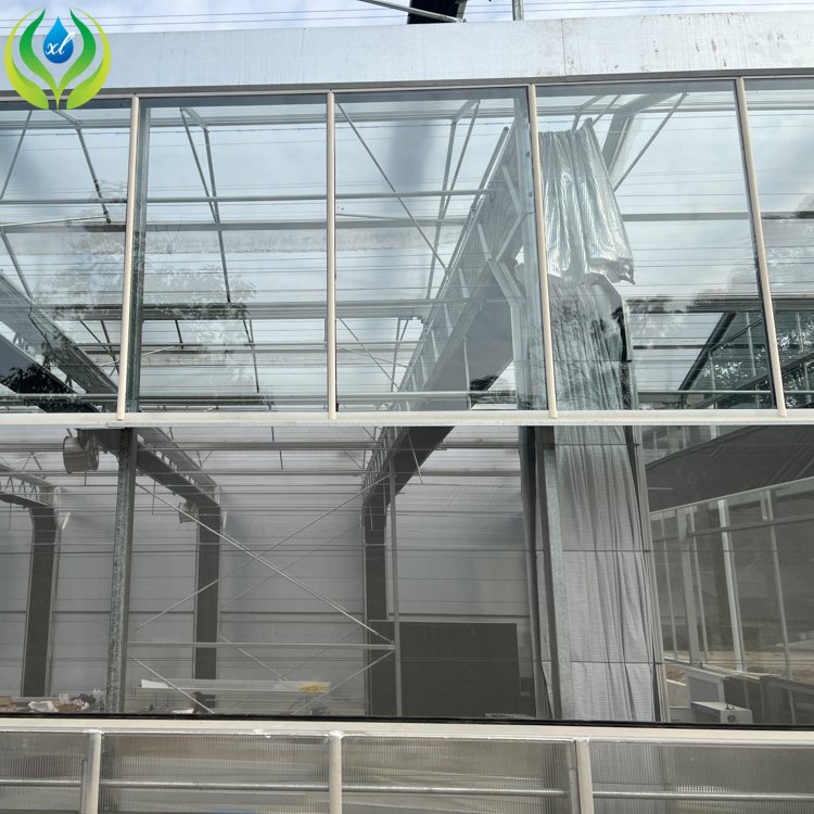 MYXL Side Roof Ventilation System Circulation Exhaust fan Passive Solar Glass Greenhouse For Hydroponic Growing System