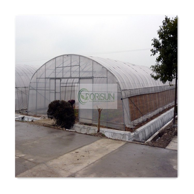 Low cost Commercial Galvanized Steel Tube Agricultural Greenhouse Polytunnel High Tunnel Green House