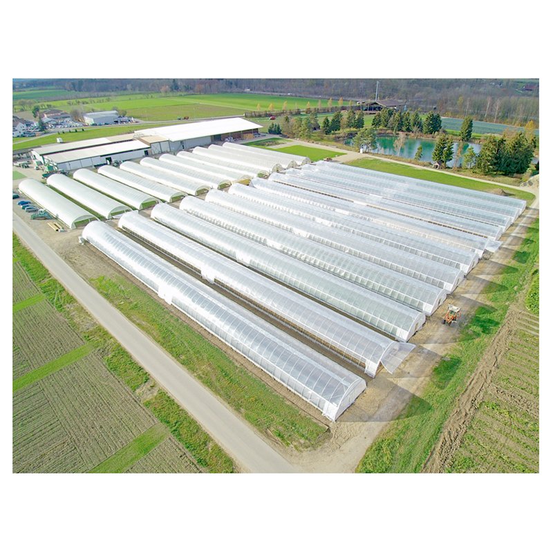 Good Quality And Easily Installed Agricultural/Commercial Green House Greenhouse