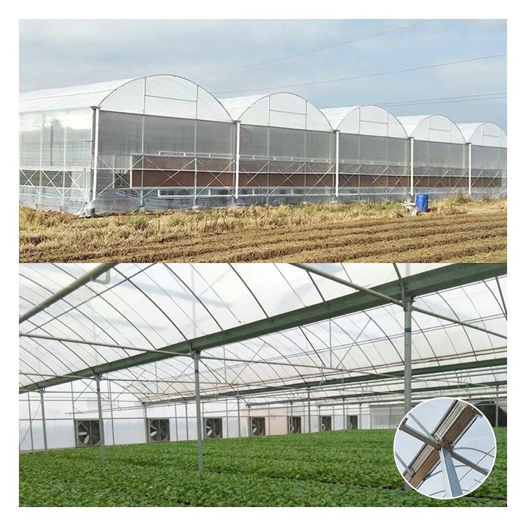 Turnkey Projects Agricultural Polycarbonate Green House cucumber Tomato Hydroponics invernadero Greenhouse For Sale