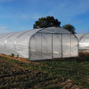 Agriculture Commercial Greenhouse Galvanised Frame Poly Tunnel Single Span Greenhouses Metal Frame Double Layer Film Greenhouse