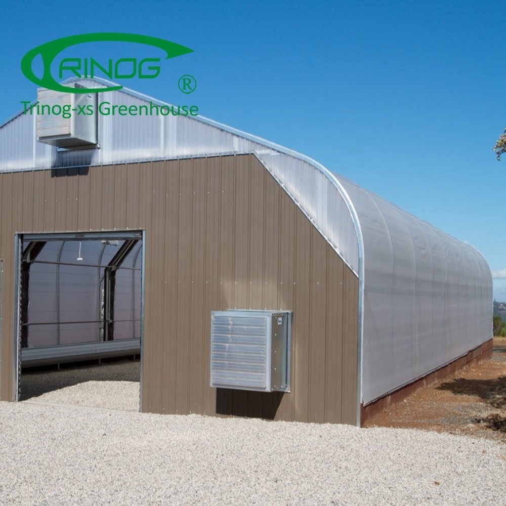 Trinog Designed Commercial Auto LED Light Deprivation Greenhouse Structure Single-span Agricultural Greenhouses Single Layer