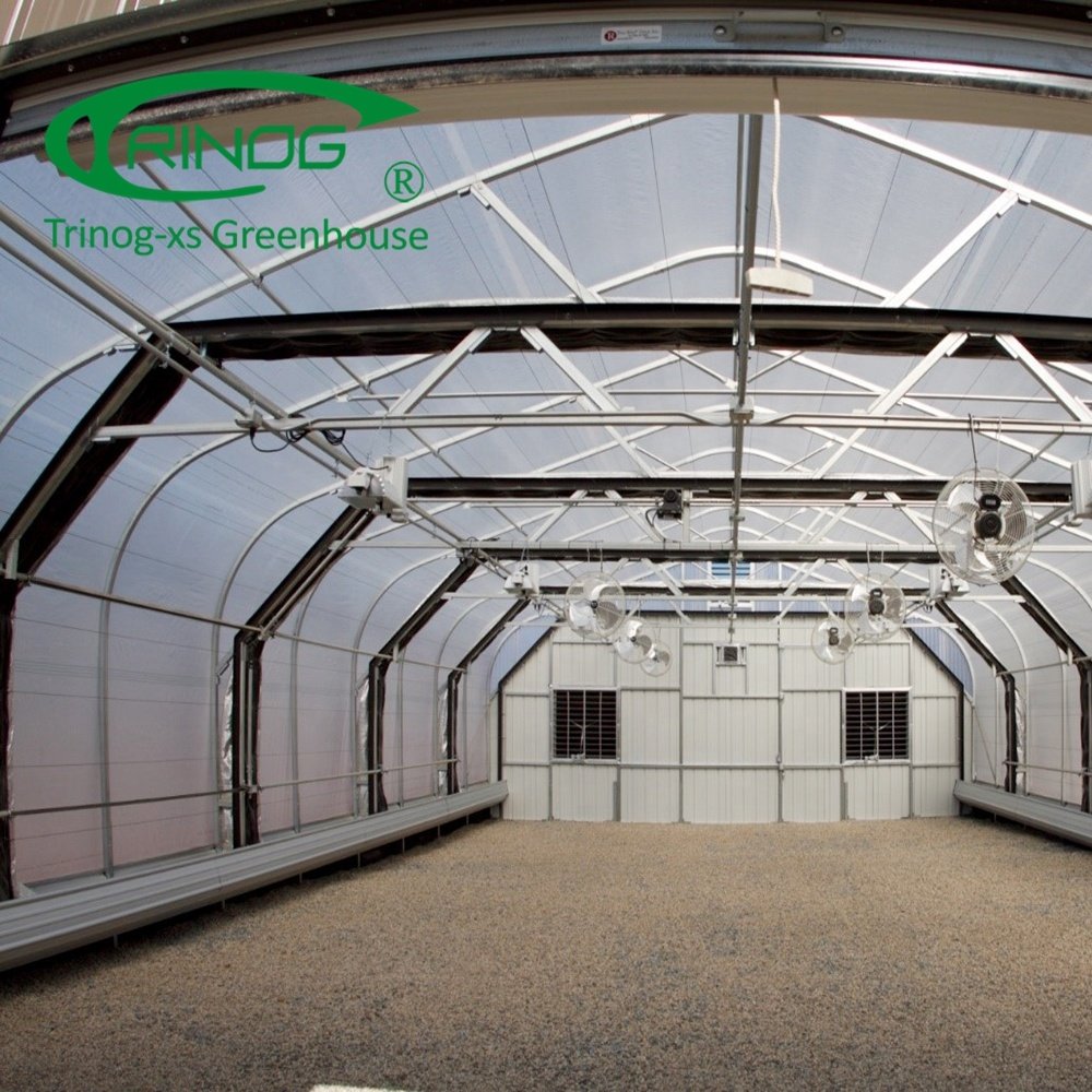 Trinog Designed Commercial Auto LED Light Deprivation Greenhouse Structure Single-span Agricultural Greenhouses Single Layer
