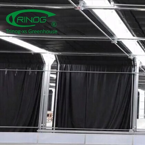 Trinog Designed Commercial Auto LED Light Deprivation Greenhouse Structure Single-span Agricultural Greenhouses Single Layer