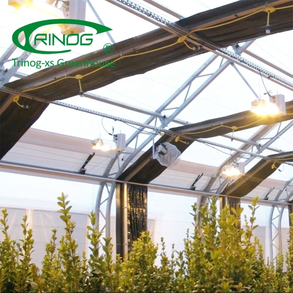 Trinog Designed Commercial Auto LED Light Deprivation Greenhouse Structure Single-span Agricultural Greenhouses Single Layer